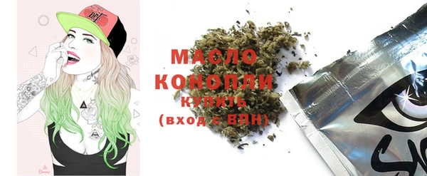 мдпв Каменка