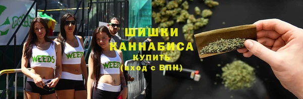 мдпв Каменка