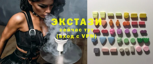 мдпв Каменка