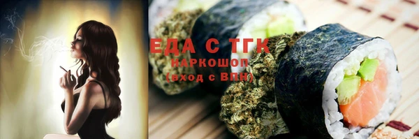 мдпв Каменка