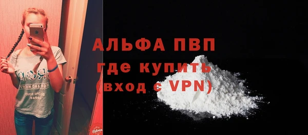 мдпв Каменка