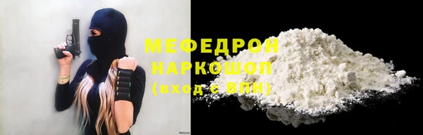 мдпв Каменка