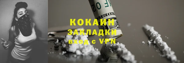 мдпв Каменка