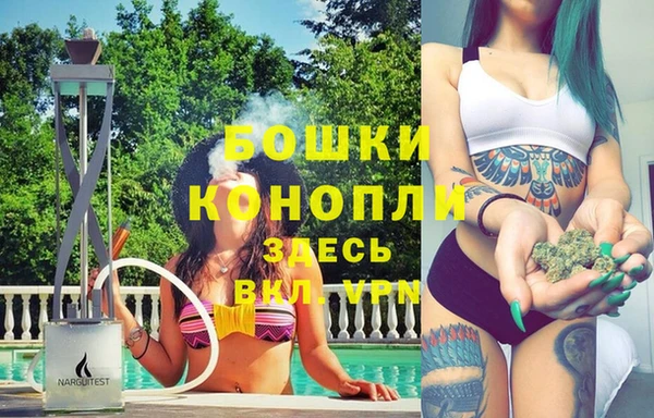 мдпв Каменка