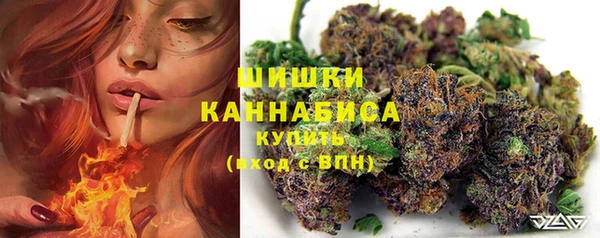 каннабис Каменногорск