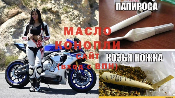 мдпв Каменка