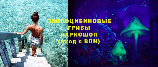 каннабис Каменногорск
