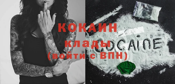 мдпв Каменка