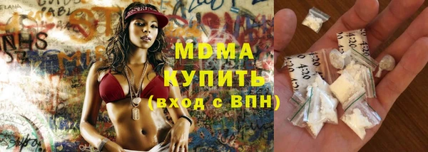 мдпв Каменка