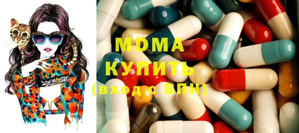 мдпв Каменка