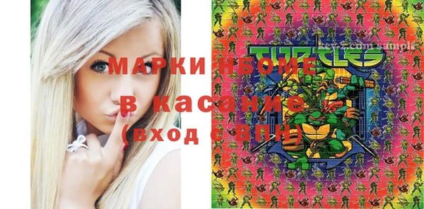 мдпв Каменка