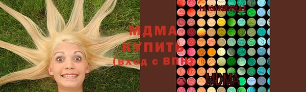 мдпв Каменка