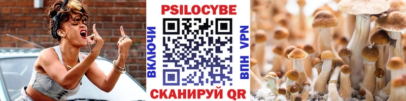 Купить закладки  Новосокольники  Галлюциногенные грибы прущие грибы 